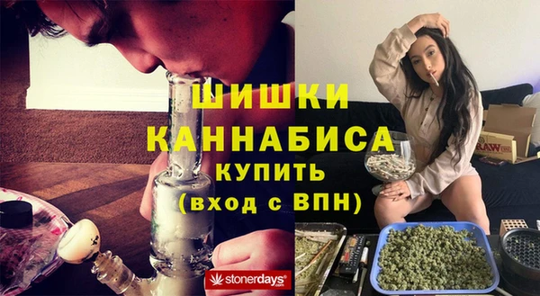тгк Новозыбков