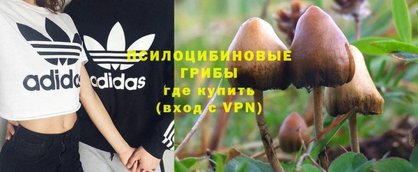 дживик Нефтекумск