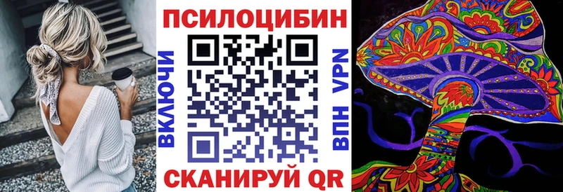 продажа наркотиков Медынь Псилоцибиновые грибы мухоморы